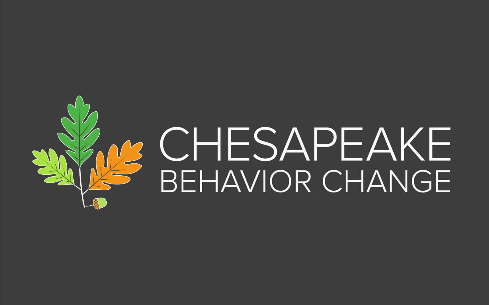 Chesapeake Behavior Change branding and product UI mockups