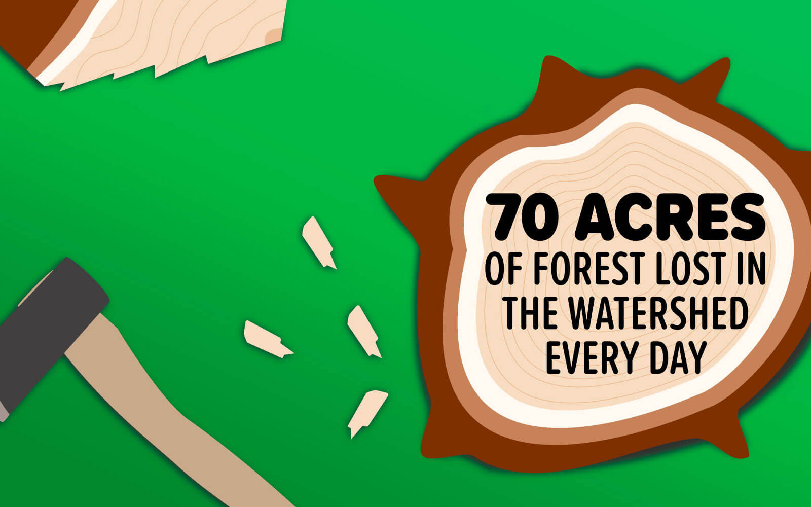 Chesapeake Bay infographic montage