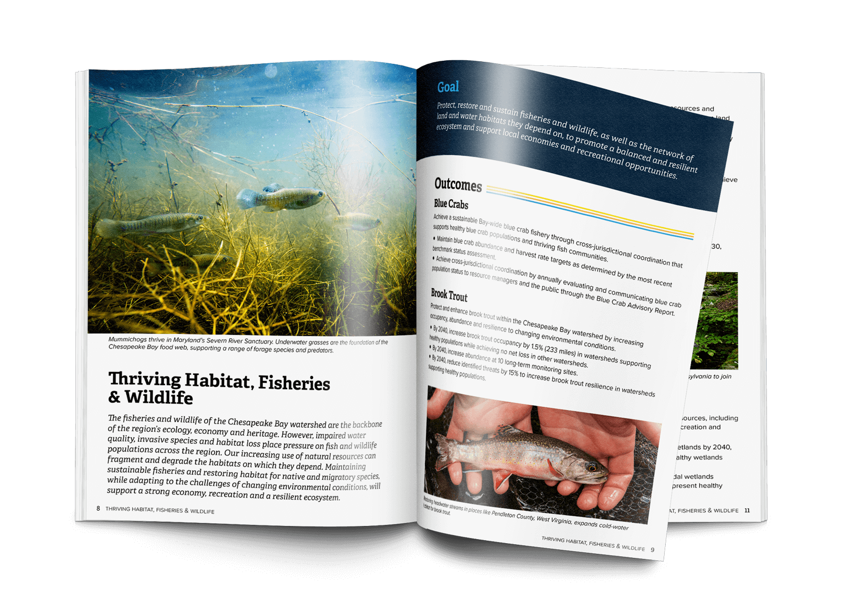 Interior spread showing chapter opener, imagery, and hierarchy