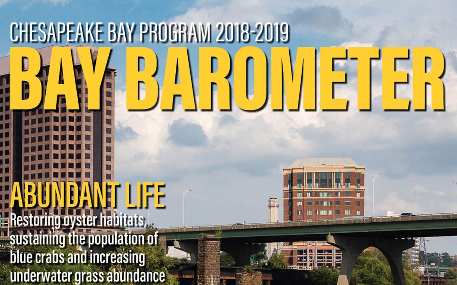 Cover of the Bay Barometer publication